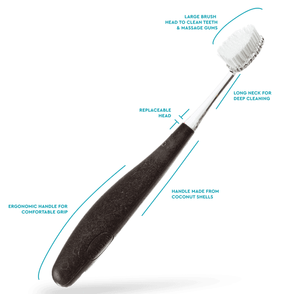 RADIUS Source Medium Cocoshell Handle Toothbrush