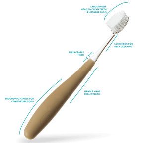 RADIUS Source Medium Cornstarch Handle Toothbrush