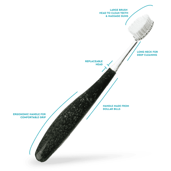 RADIUS Source Medium Currency Handle Toothbrush