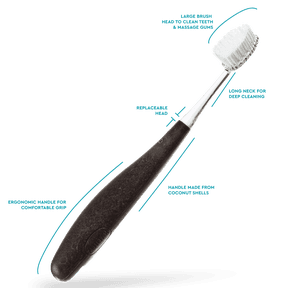 RADIUS Source Soft Cocoshell Handle Toothbrush