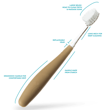 RADIUS Source Soft Cornstarch Handle Toothbrush