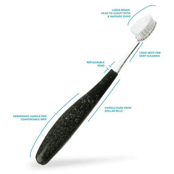 RADIUS Source Soft Currency Handle Toothbrush