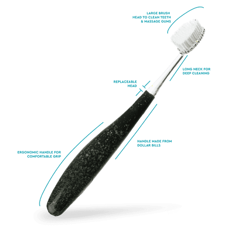 RADIUS Source Soft Currency Handle Toothbrush