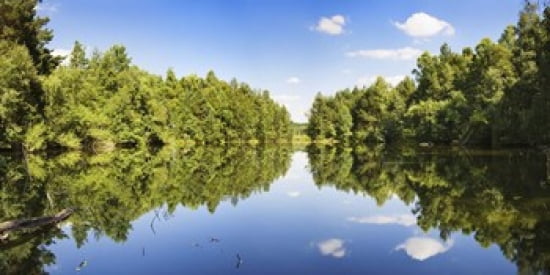 Source of the Neckar River in the Schwenninger moss Villingen-Schwenningen Baden-Wurttemberg Germany Canvas Art - Panoramic Images (24 x 12)