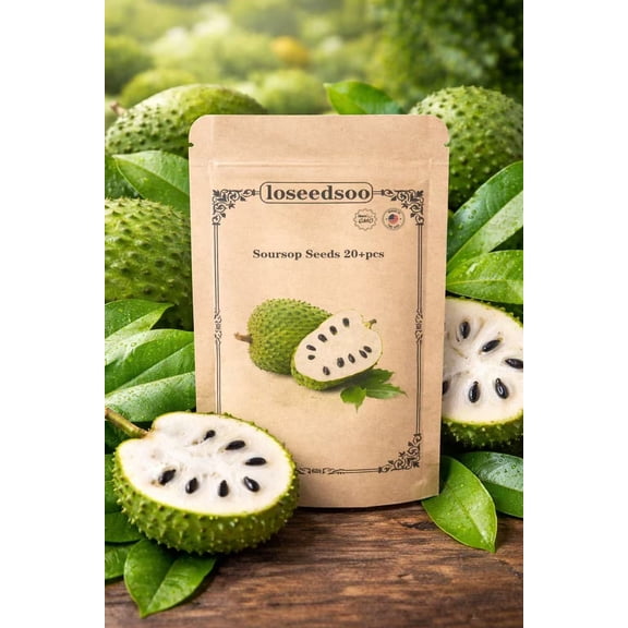 Soursop Seeds 20+ for Planting Non-GMO Graviola Guanabana Seeds for Indoor & Outdoor Growing, Tropical Fruit Tree Seeds, High Germination, loseedsoo
