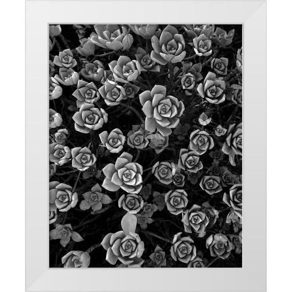 Sousa Dias, Nana 20x24 White Modern Wood Framed Museum Art Print Titled - Tuc 1