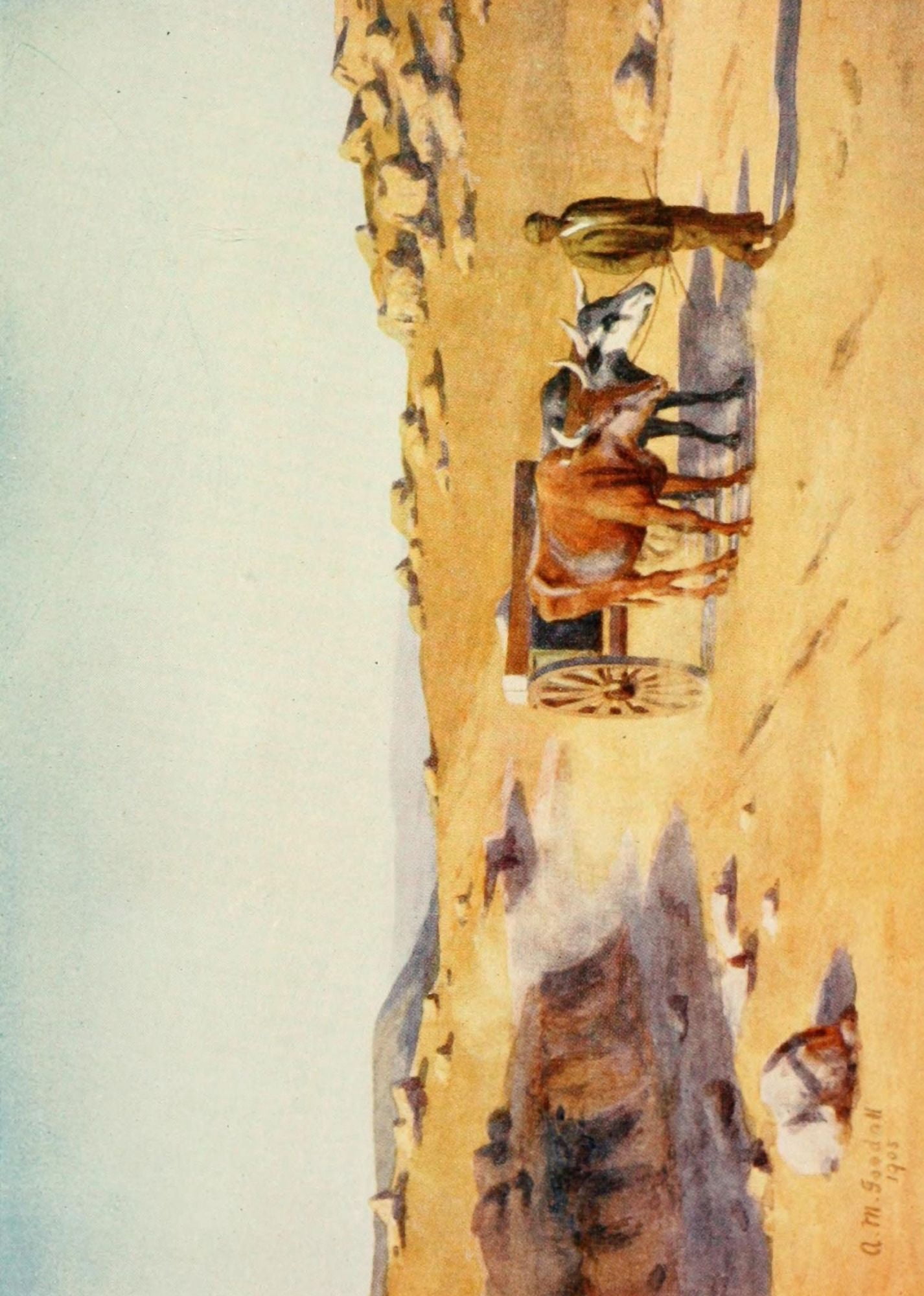 South Africa 1910 A bullock driver Canvas Art - AM Goodall (24 x 36)