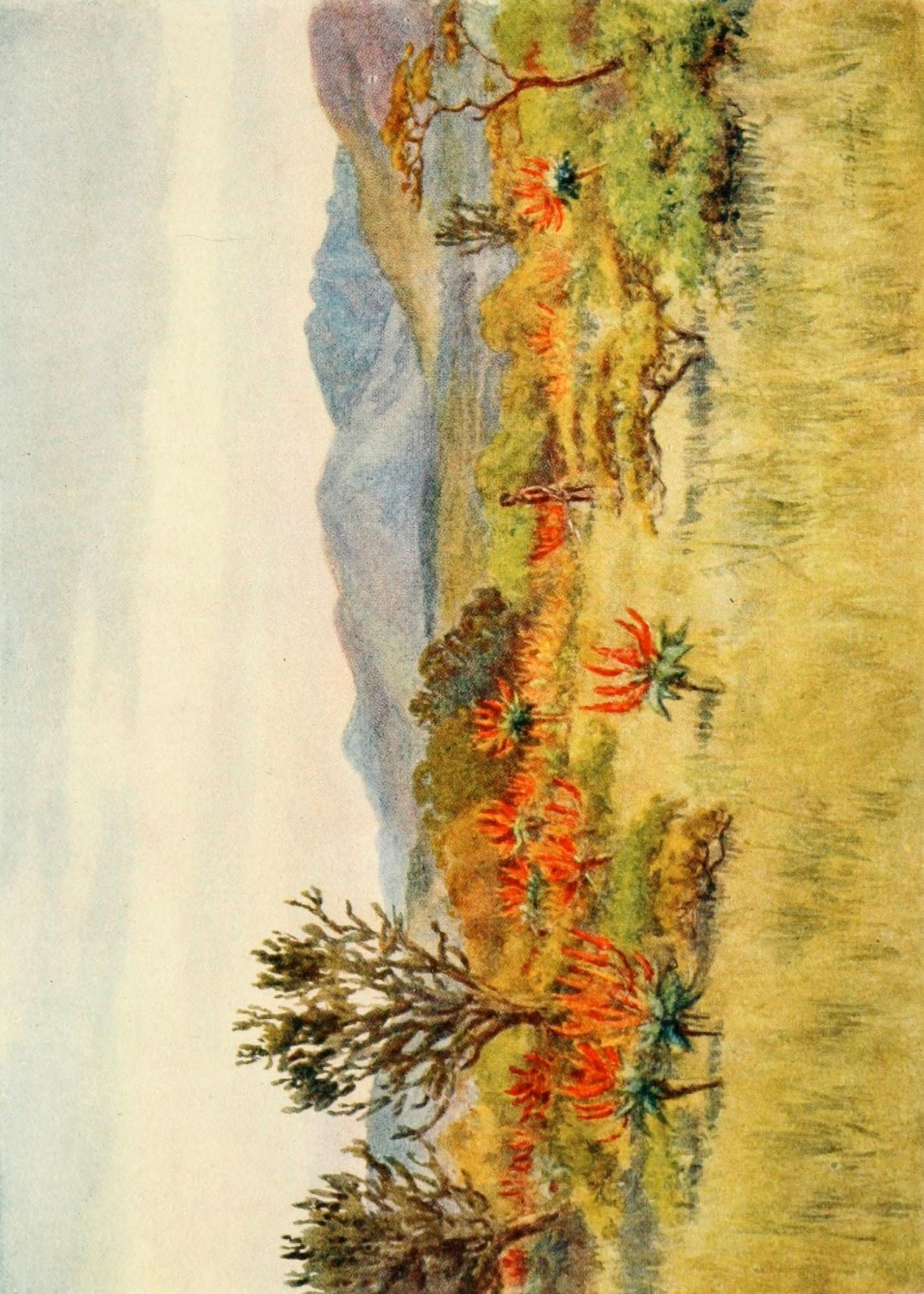 South Africa 1910 Hunting on the bush veld Canvas Art - AM Goodall (18 x 24)