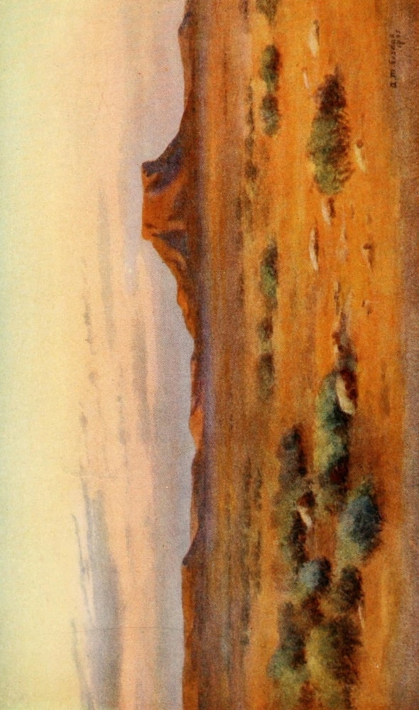South Africa 1910 On the Karoo Canvas Art - AM Goodall (18 x 24)