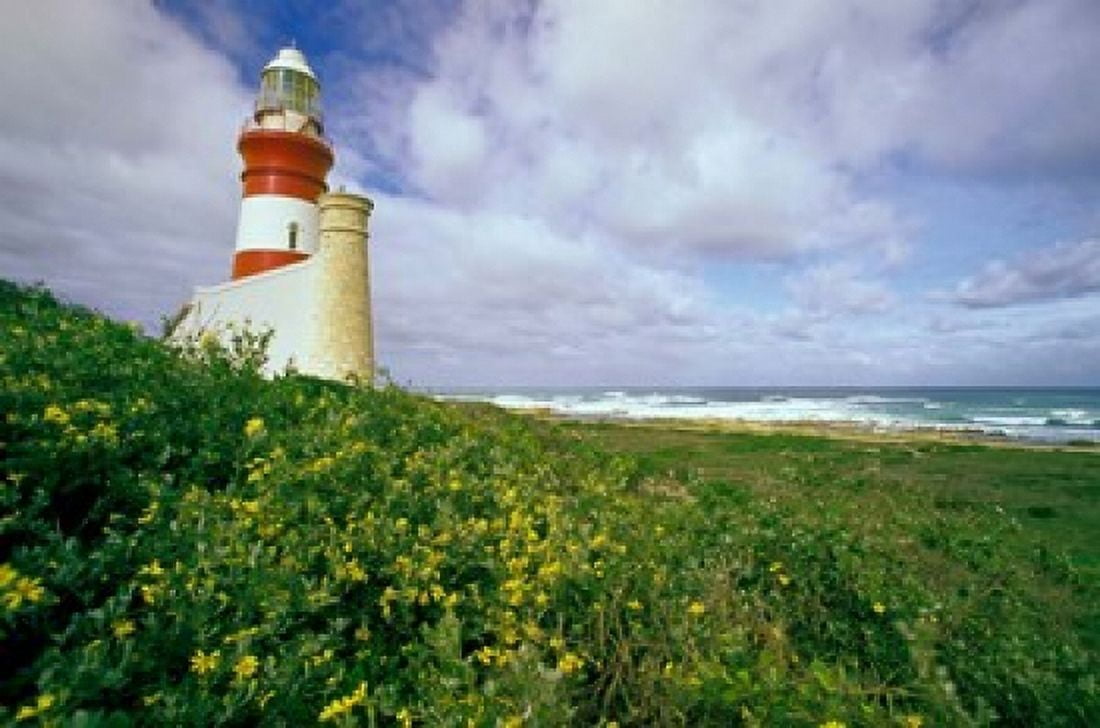 South Africa Cape Agulhas Lighthouse Canvas Art - Michele Benoy Westmorland DanitaDelimont (36 x 24)