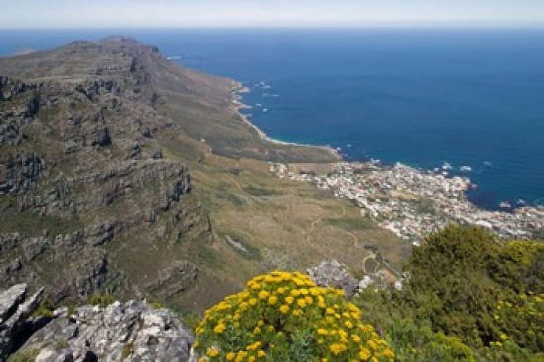 South Africa Cape Town Table Mountain Cape Peninsula Canvas Art - Paul Souders DanitaDelimont (35 x 23)