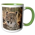 thumbnail image 1 of 3drose, South Africa, Close-up of Cheetahs, 11oz Two-tone Green Mug, 1 of 6