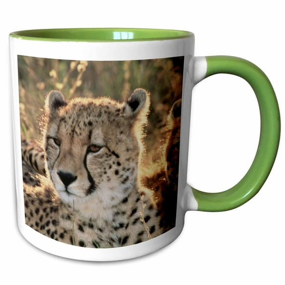 3drose, South Africa, Close-up of Cheetahs, 11oz Two-tone Green Mug
