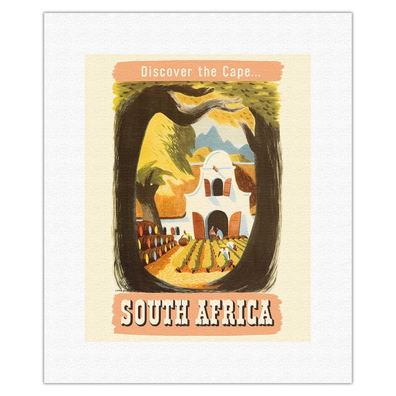 South Africa - Discover the Cape - South African Vineyard - Vintage Travel Poster by Leng Dixon c.1950 - Fine Art Rolled Canvas Print 11in x 14in