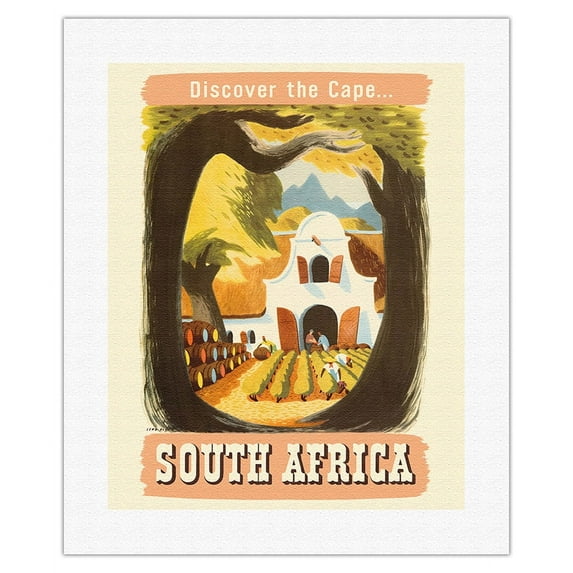 South Africa - Discover the Cape - South African Vineyard - Vintage Travel Poster by Leng Dixon c.1950 - Fine Art Rolled Canvas Print 16in x 20in