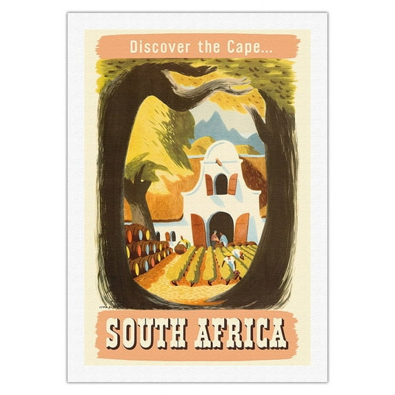South Africa - Discover the Cape - South African Vineyard - Vintage Travel Poster by Leng Dixon c.1950 - Fine Art Rolled Canvas Print 27in x 40in