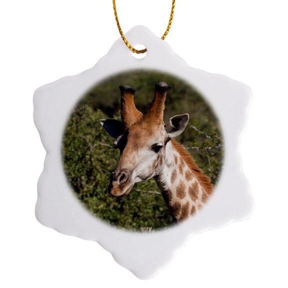 3drose, South Africa, Durban, Tala Game Reserve. Giraffe., 3 inch Snowflake Porcelain Ornament