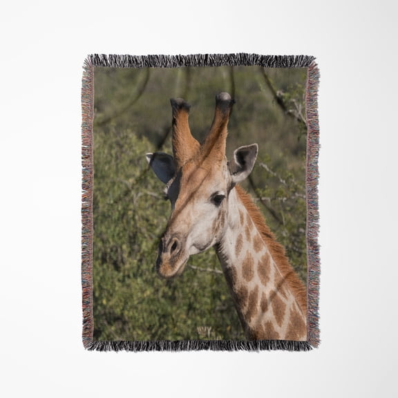 South Africa, Durban, Tala Game Reserve. Giraffe., Woven Blanket