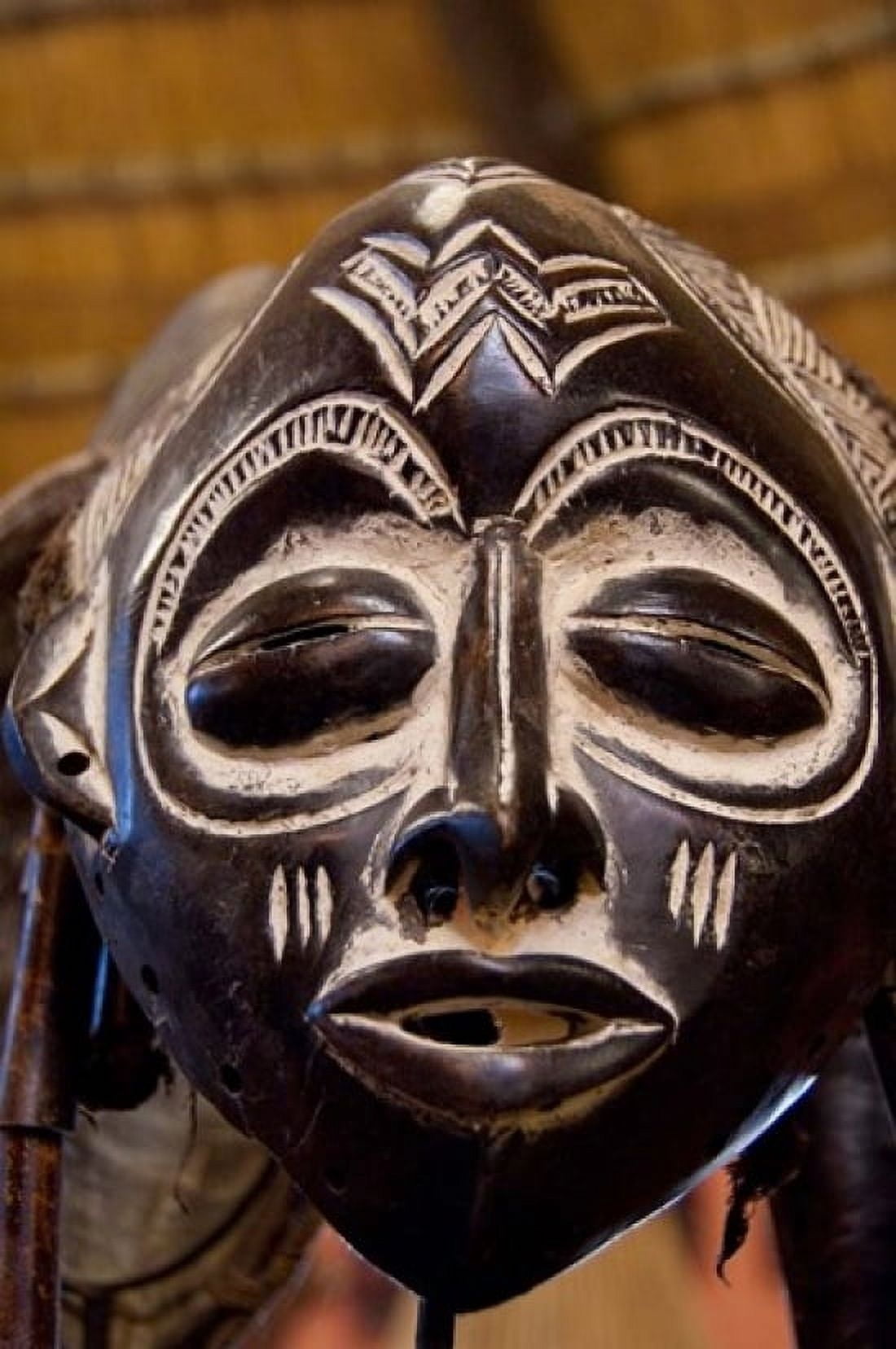 South Africa Durban Zulu tribe mask Canvas Art - Cindy Miller Hopkins  DanitaDelimont (11 x 17)