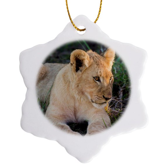 3drose, South Africa, Eastern Cape, Inkwenkwezi Game Reserve. Lion Cub., 3 inch Snowflake Porcelain Ornament