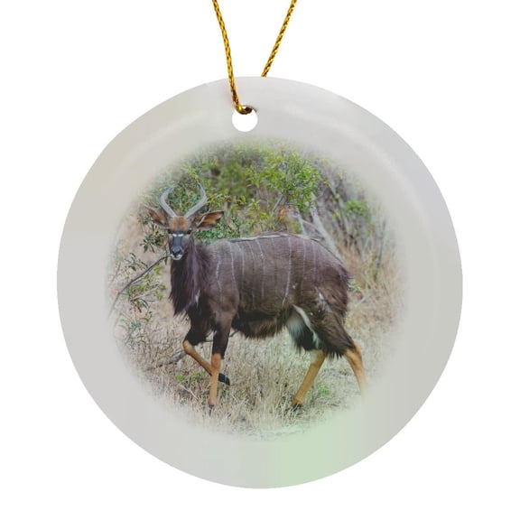 3drose, South Africa, Game Reserve. Greater Kudu Antelope., Circle Porcelain Ornament