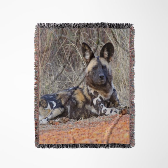 South Africa, Madikwe Game Reserve, African Wild Dog-Af42 Kwi0013 - Kymri Wilt, Woven Blanket