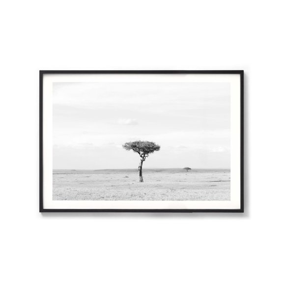 South Africa Print Acacia Tree Photography Black And White African Tree Photo Wall Art, Unframed Paper Print