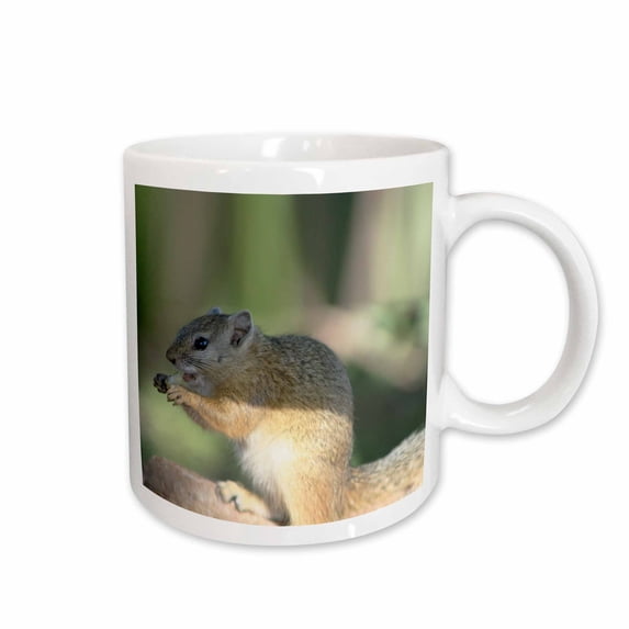 3drose, South African Squirrel Side View, 11oz Mug