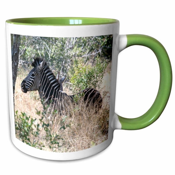 3drose, South African Zebra in the Grass, 11oz Two-tone Green Mug