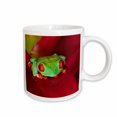 thumbnail image 1 of 3drose, South America, Panama. Red Eyed Tree Frog., 11oz Mug, 1 of 6