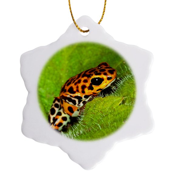 3drose, South America, Panama. Yellow Form of Poison Dart Frog on Spiny Plant., 3 inch Snowflake Porcelain Ornament