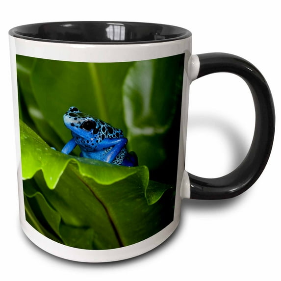 3drose, South America, Suriname. Blue Dart Frog on Leaf., 11oz Two-tone Black Mug