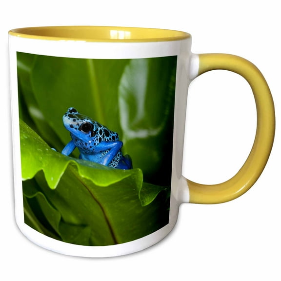 3drose, South America, Suriname. Blue Dart Frog on Leaf., 11oz Two-tone Yellow Mug