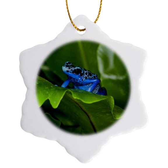 3drose, South America, Suriname. Blue Dart Frog on Leaf., 3 inch Snowflake Porcelain Ornament