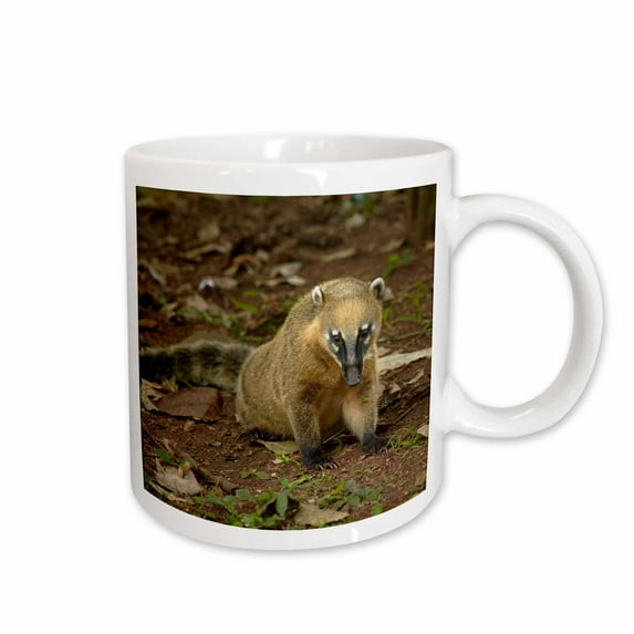 3drose, South American Coati, Nasua Nasua, Iguazu Falls, Argentina, 11oz Mug
