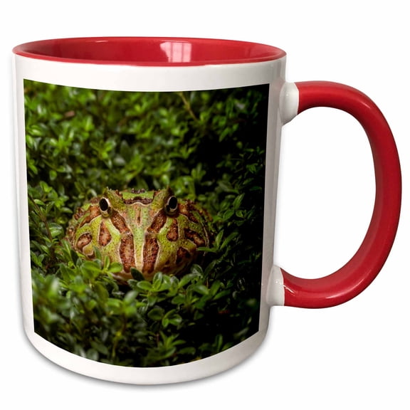 3drose, South American Horned Frog Pacman Frog, 11oz Two-tone Red Mug