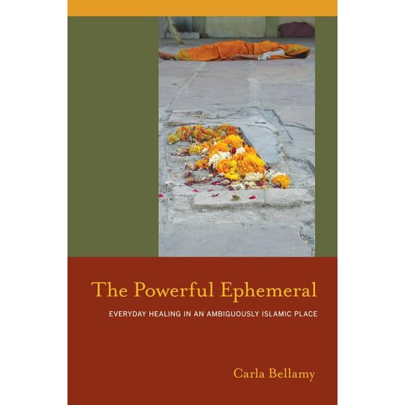 South Asia Across the Disciplines: The Powerful Ephemeral : Everyday Healing in an Ambiguously Islamic Place (Edition 1) (Paperback)
