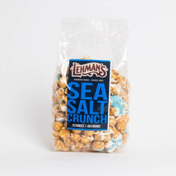 South Bend Chocolate Company Caramel Popcorn Snack Mix, 1 lb bag, Crunchy Popped Corn Treat, Sea Salt Chocolate Flavor