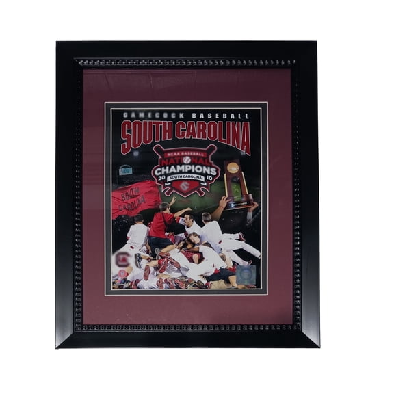 South Carolina Baseball 11x14 Frame 2010 Champs