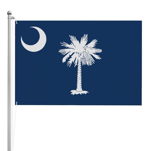 South Carolina Flag 3x2 Ft Outdoor Double Sided South Carolina State Flags SC Flag Vivid Color Country Flags Gamecock Flag Banner Polyester Fabric with 2 Brass Grommets for Outside Indoor Decor