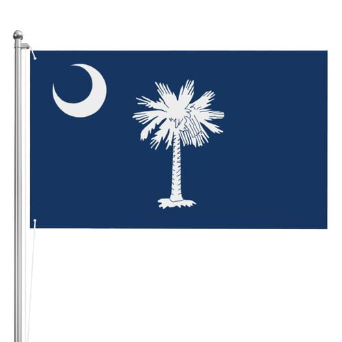 South Carolina Flag 3x5 Ft Outdoor Double Sided South Carolina State Flags SC Flag Vivid Color Country Flags Gamecock Flag Banner Polyester Fabric with 2 Brass Grommets for Outside Indoor Decor