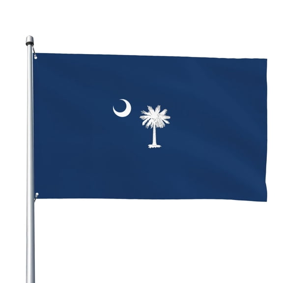 South Carolina Flag Pattern Flag 4x6 Ft Big Flag For Outdoor Indoor Office Workplace Home Garden