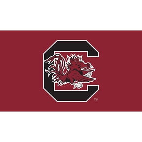 South Carolina Gamecocks 28" x 16" Turf Mat