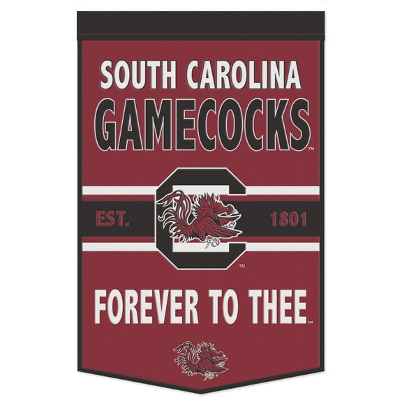 WinCraft South Carolina Gamecocks 24" x 38" Primary Logo Banner