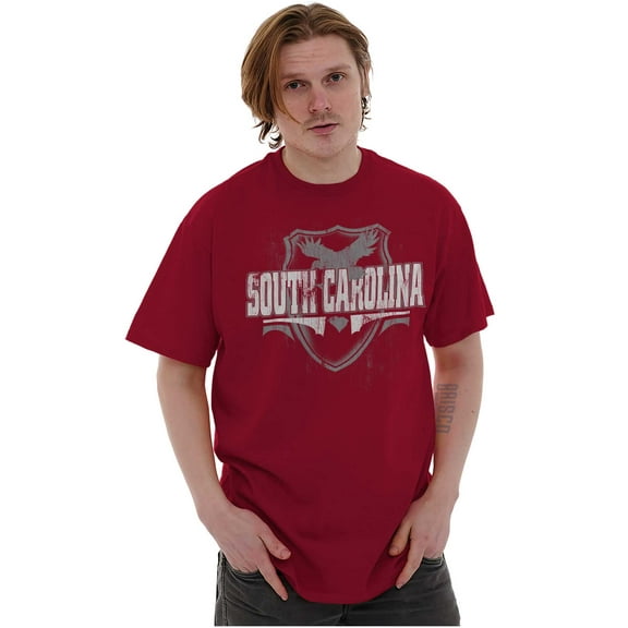 South Carolina Pride Gameday Spirit Men's Graphic T Shirt Tees Brisco Brands S