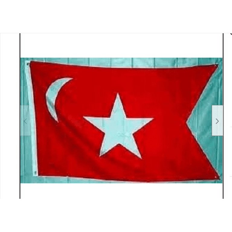 South Carolina Secession Polyester 3x5 Foot Flag US Historical 