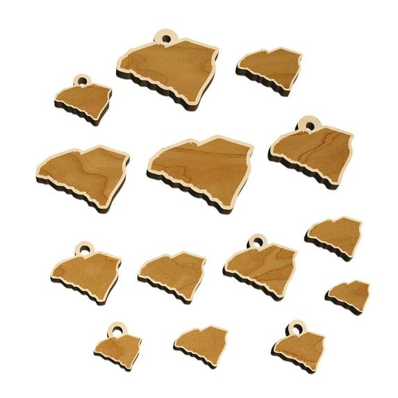 South Carolina State Silhouette Wood Mini Charms Shapes DIY Craft Jewelry - With Hole - 20mm (15pcs)