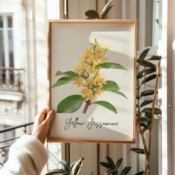 South Carolina Yellow Jessamine Flower Line Art Unframed Paper Print