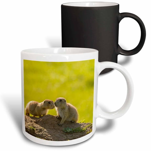 3drose, South Dakota, Custer State Park. Young Prairie Dogs at Den., 11oz Magic Transforming Mug