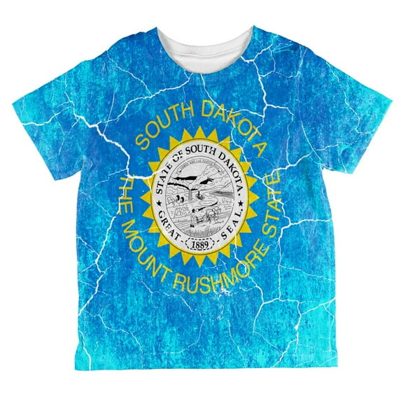 South Dakota Vintage Distressed State Flag All Over Toddler T Shirt Multi 4T